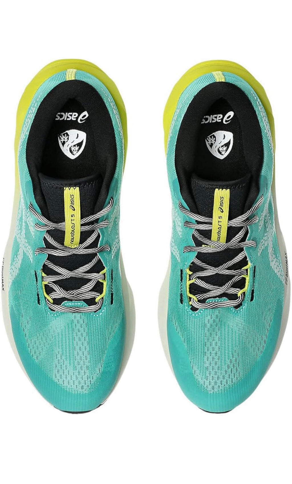 Asics Novablast 5