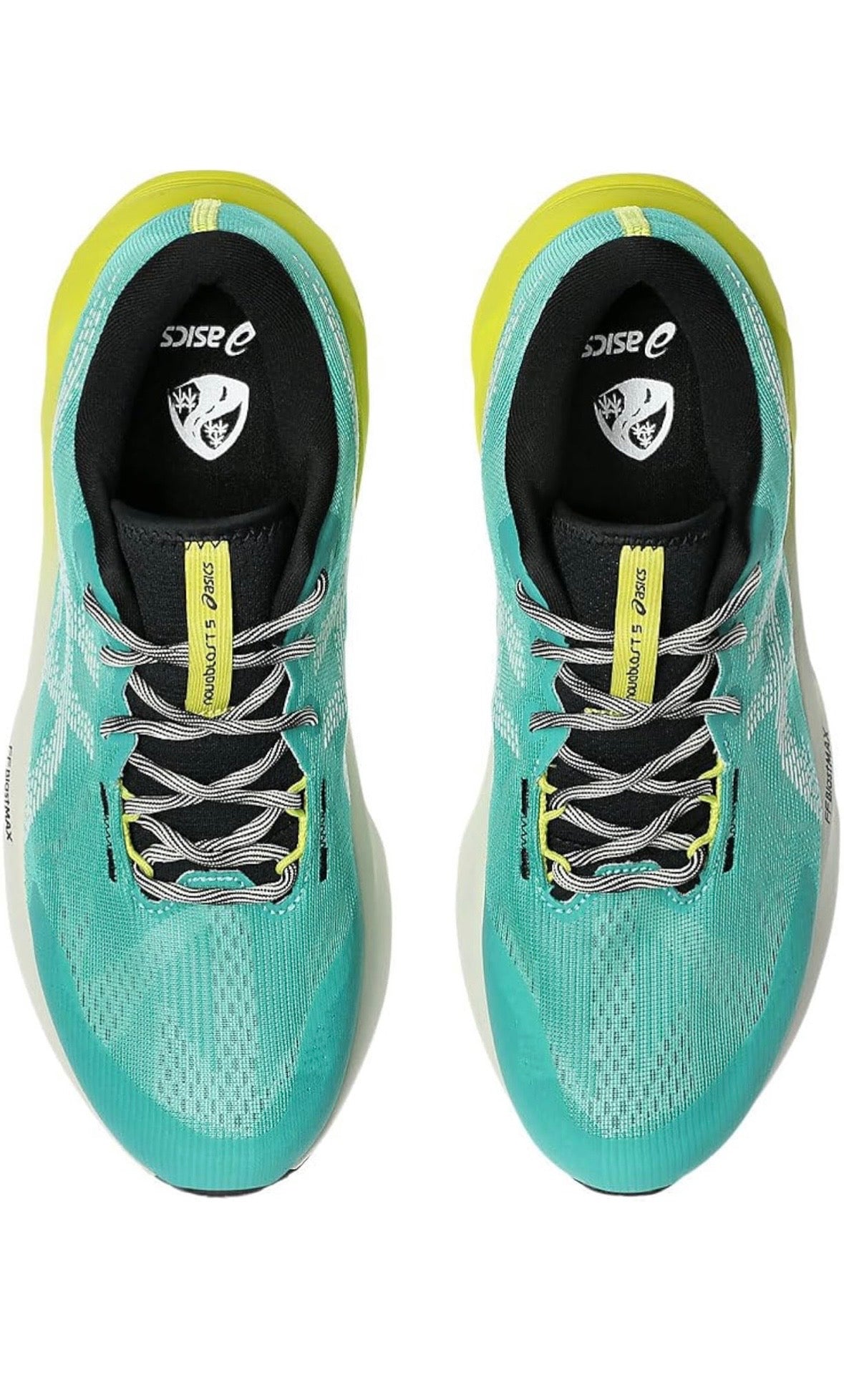 Asics Novablast 5